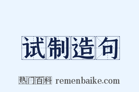 试制造句是什么意思的图片